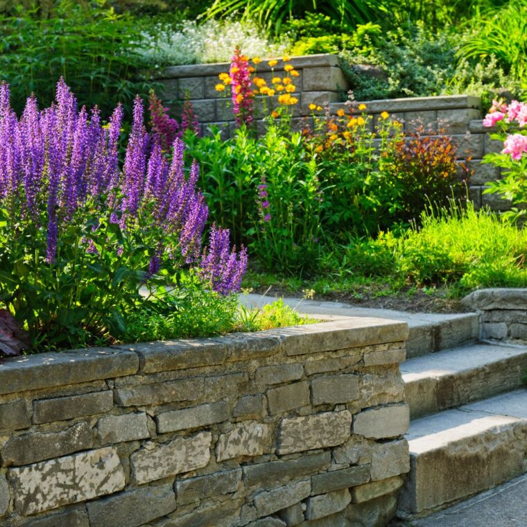 Landscape & hardscape solutions